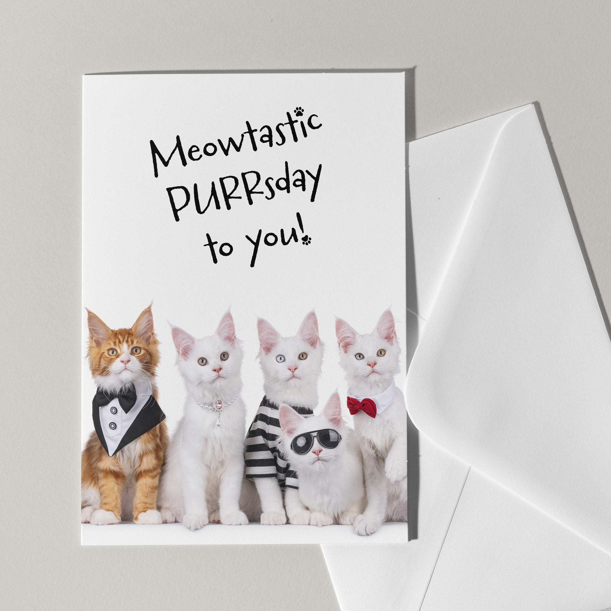 Happy Purrsday verjaardagskaart - Catchy Store