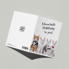 Happy Purrsday verjaardagskaart - Catchy Store