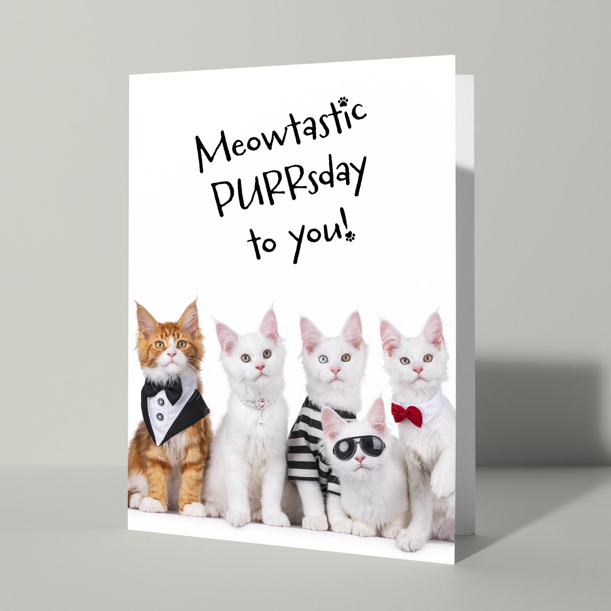 Happy Purrsday verjaardagskaart - Catchy Store