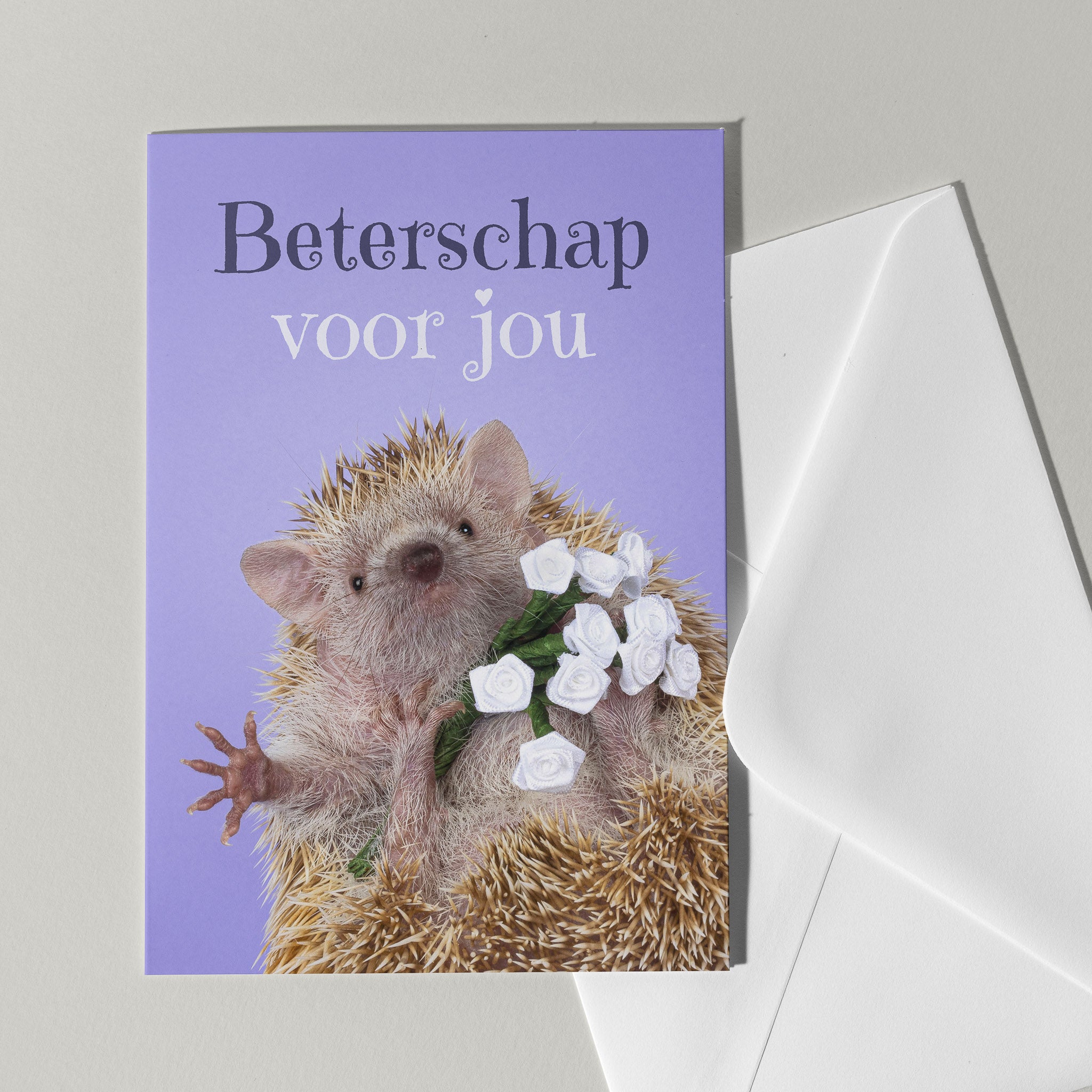 Beterschap kaart met tenrec - Catchy Store