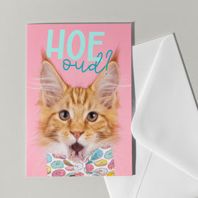 Leuke verjaardagskaart met kat - Catchy Store
