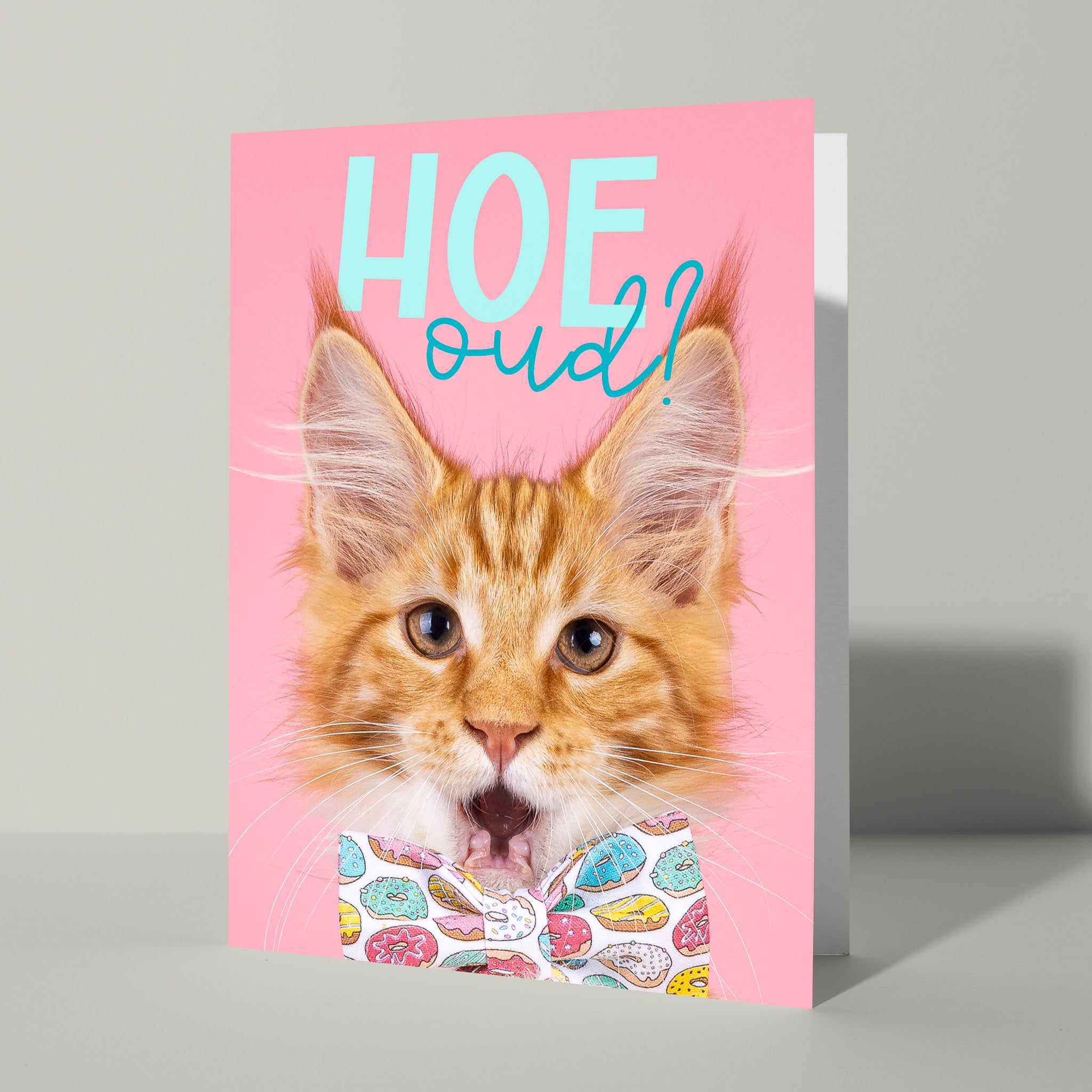 Leuke verjaardagskaart met kat - Catchy Store
