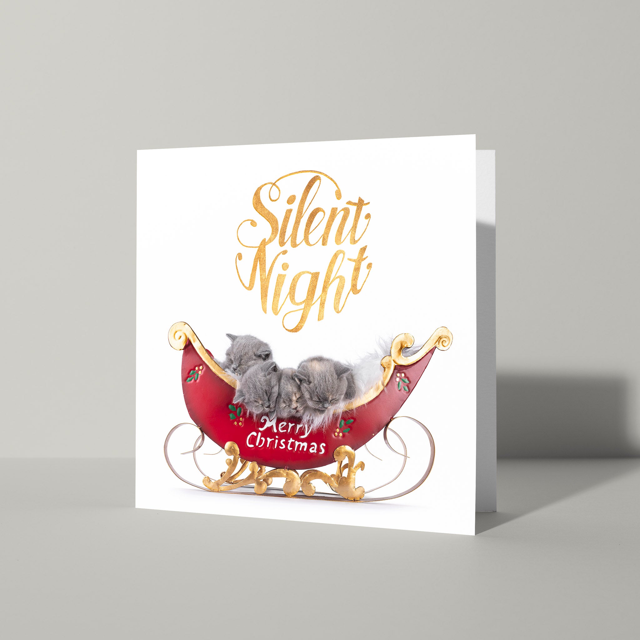Stille nacht kerstkaart met katten - Catchy Store
