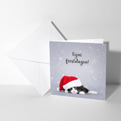Fijne feestdagen kaart met poes