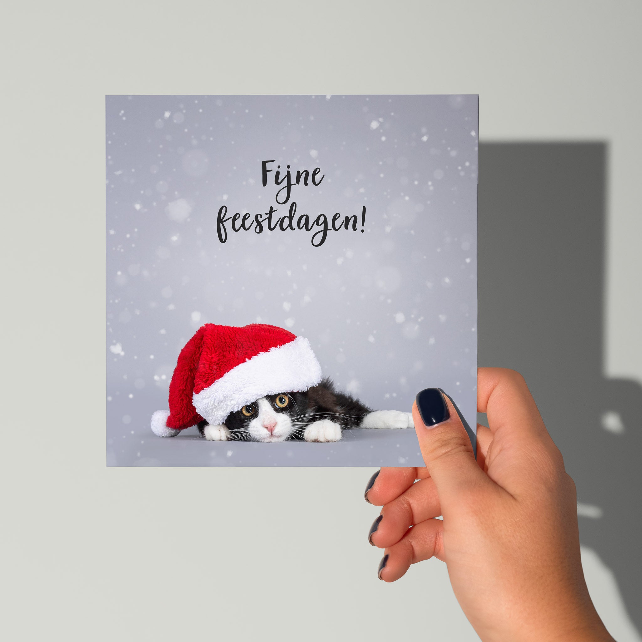 Fijne feestdagen kaart met poes