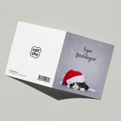 Fijne feestdagen kaart met poes