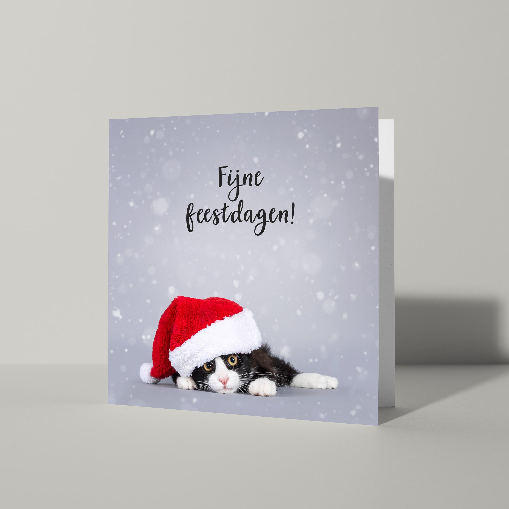 Fijne feestdagen kaart met poes