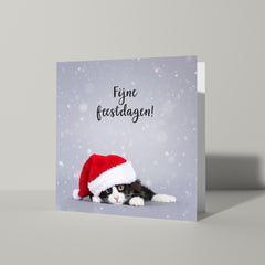 Fijne feestdagen kaart met poes