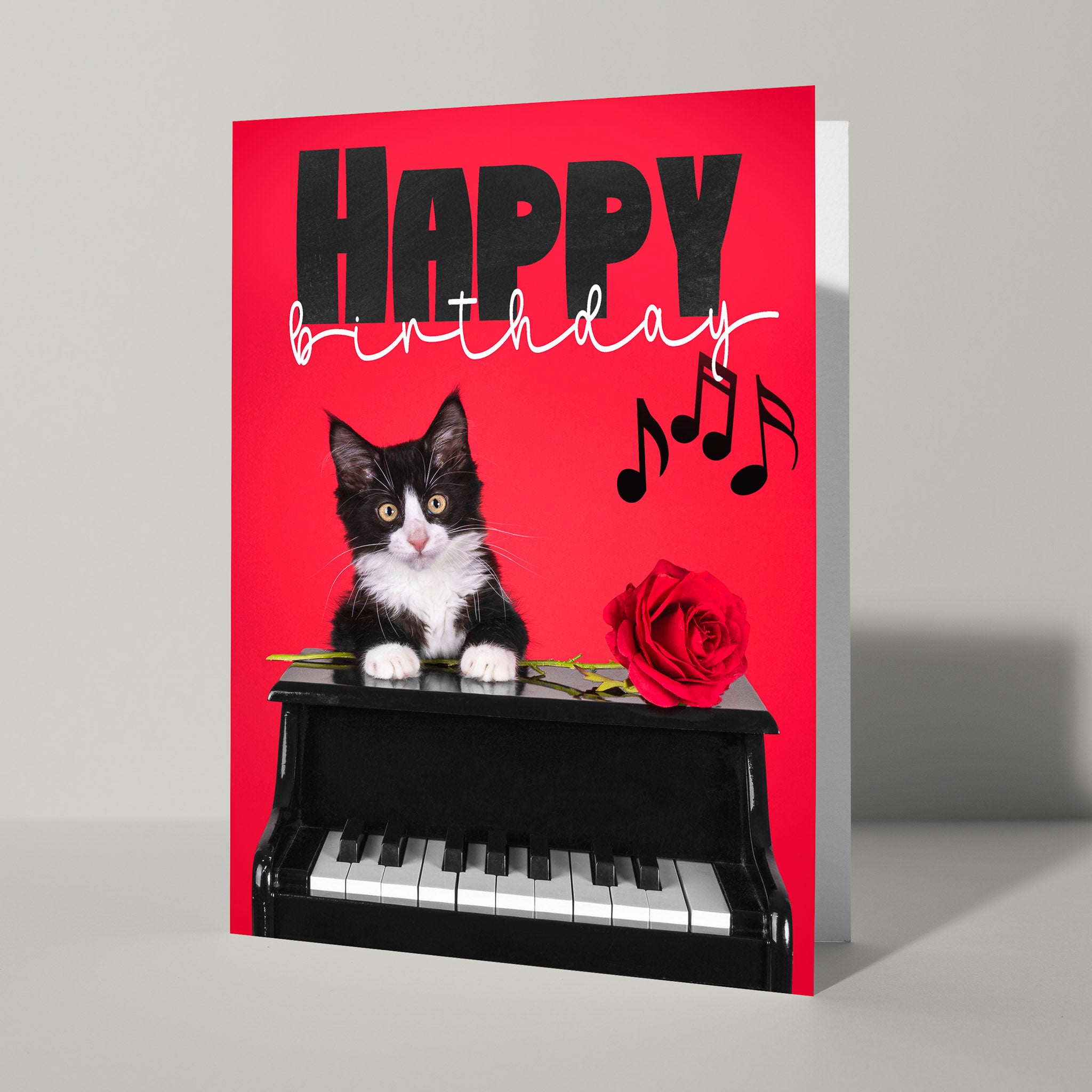 Kaartje Happy Birthday met Kat - Catchy Store