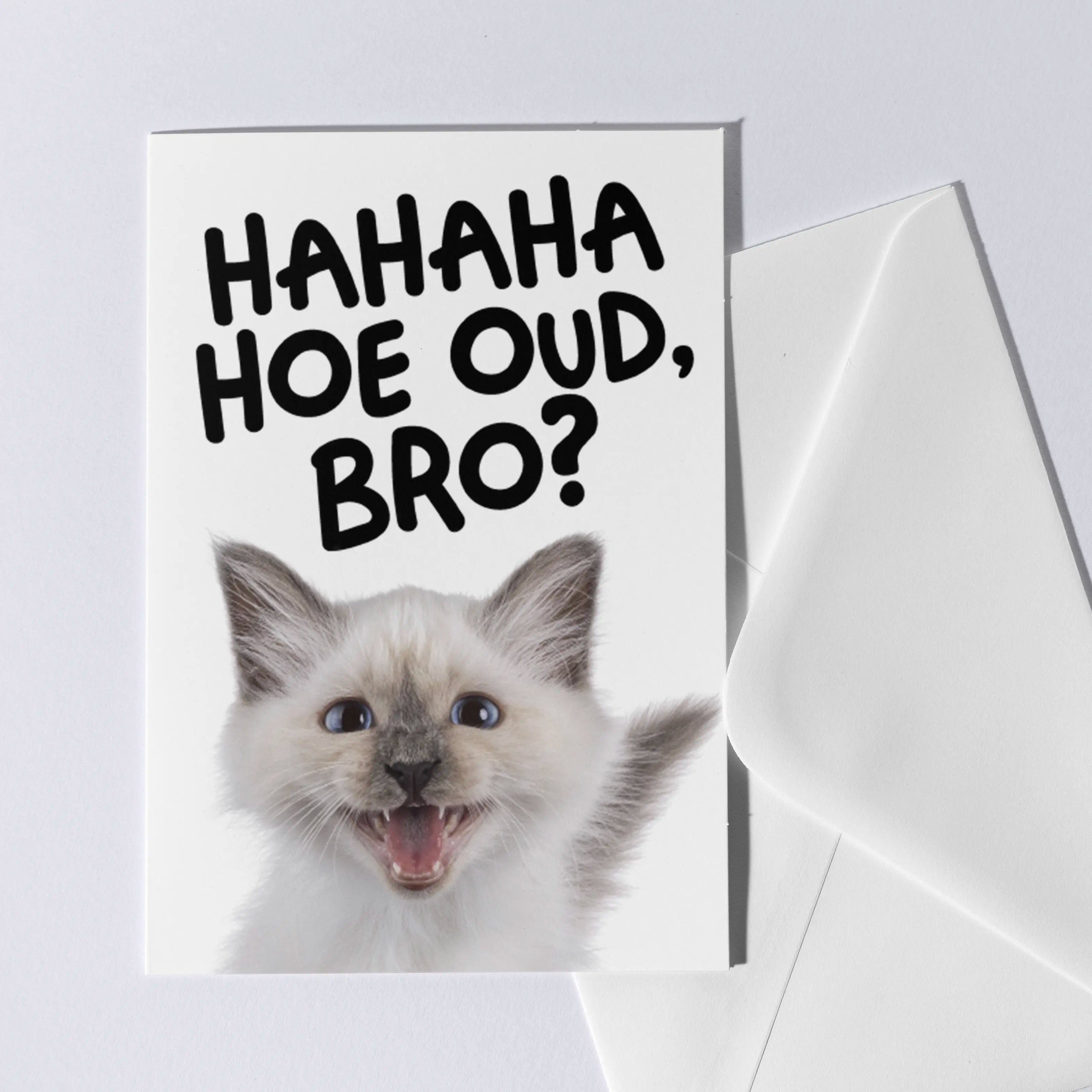 Stoere Bro verjaardagskaart met kat