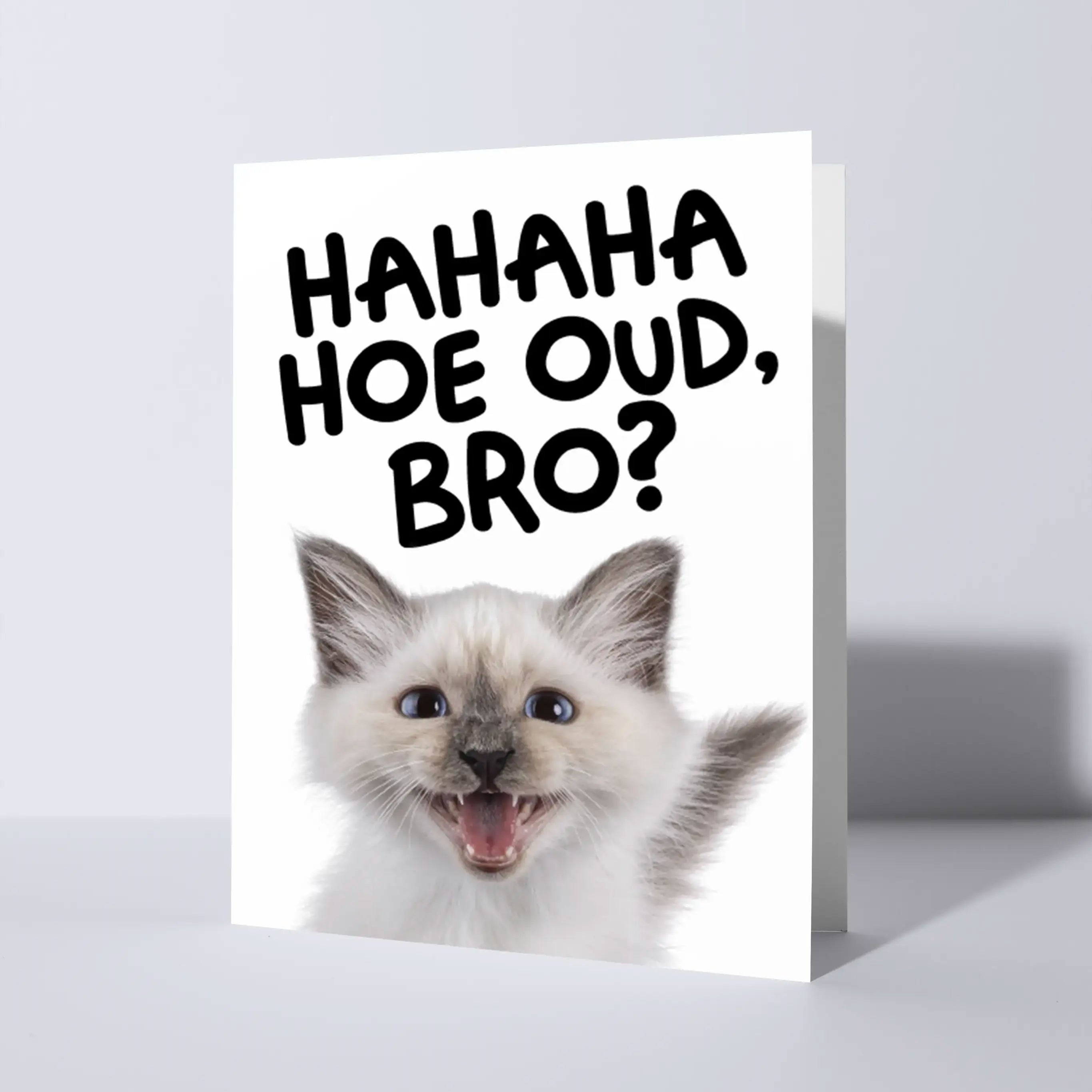 Stoere Bro verjaardagskaart met kat