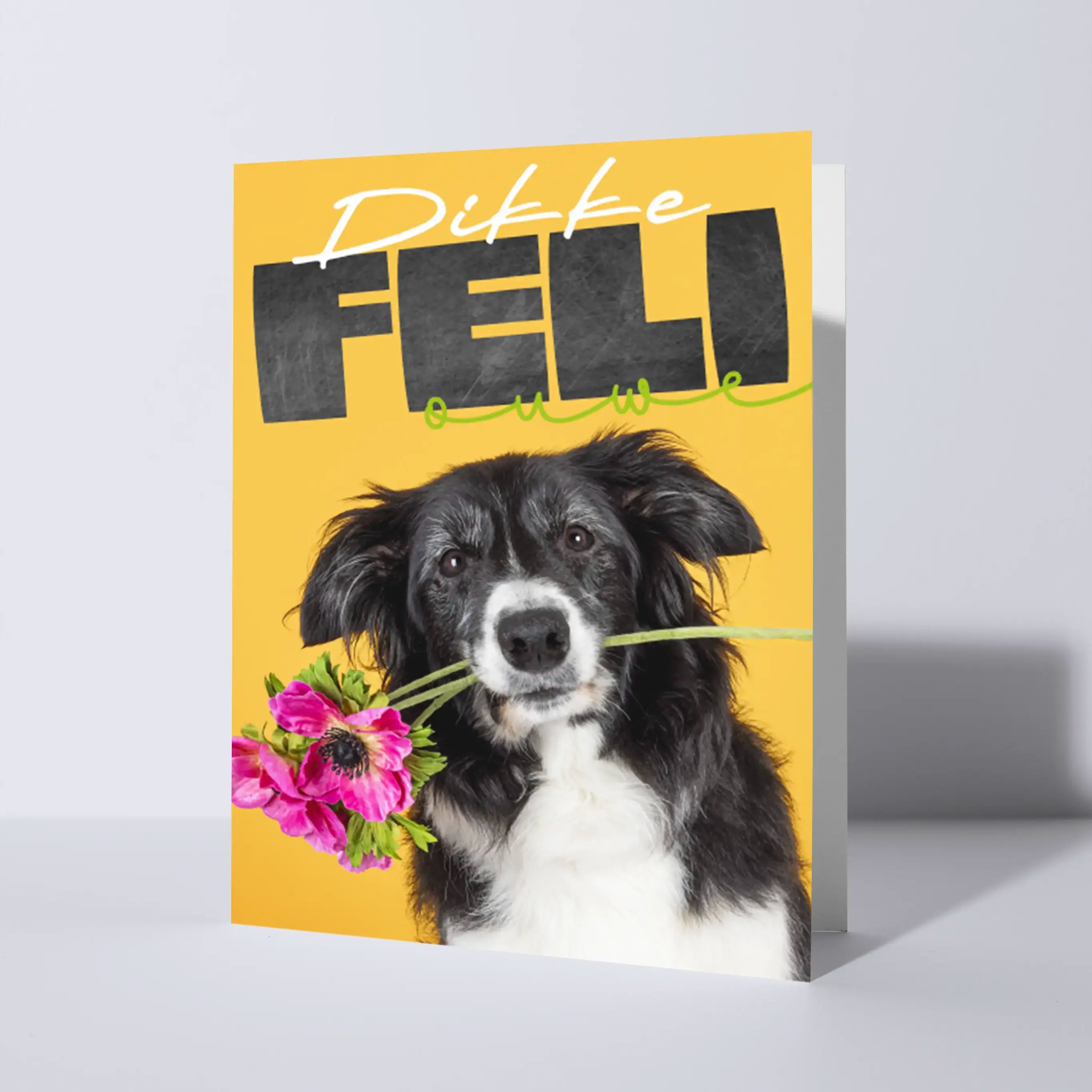 Dikke Feli kaart voor die 'ouwe'