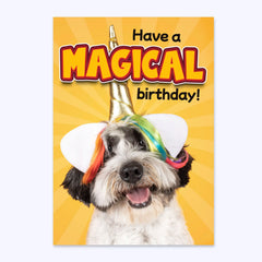 Magical Birthday verjaardagskaart