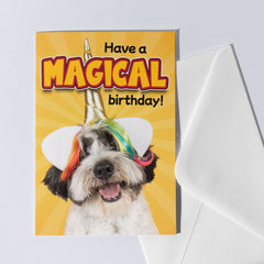 Magical Birthday verjaardagskaart