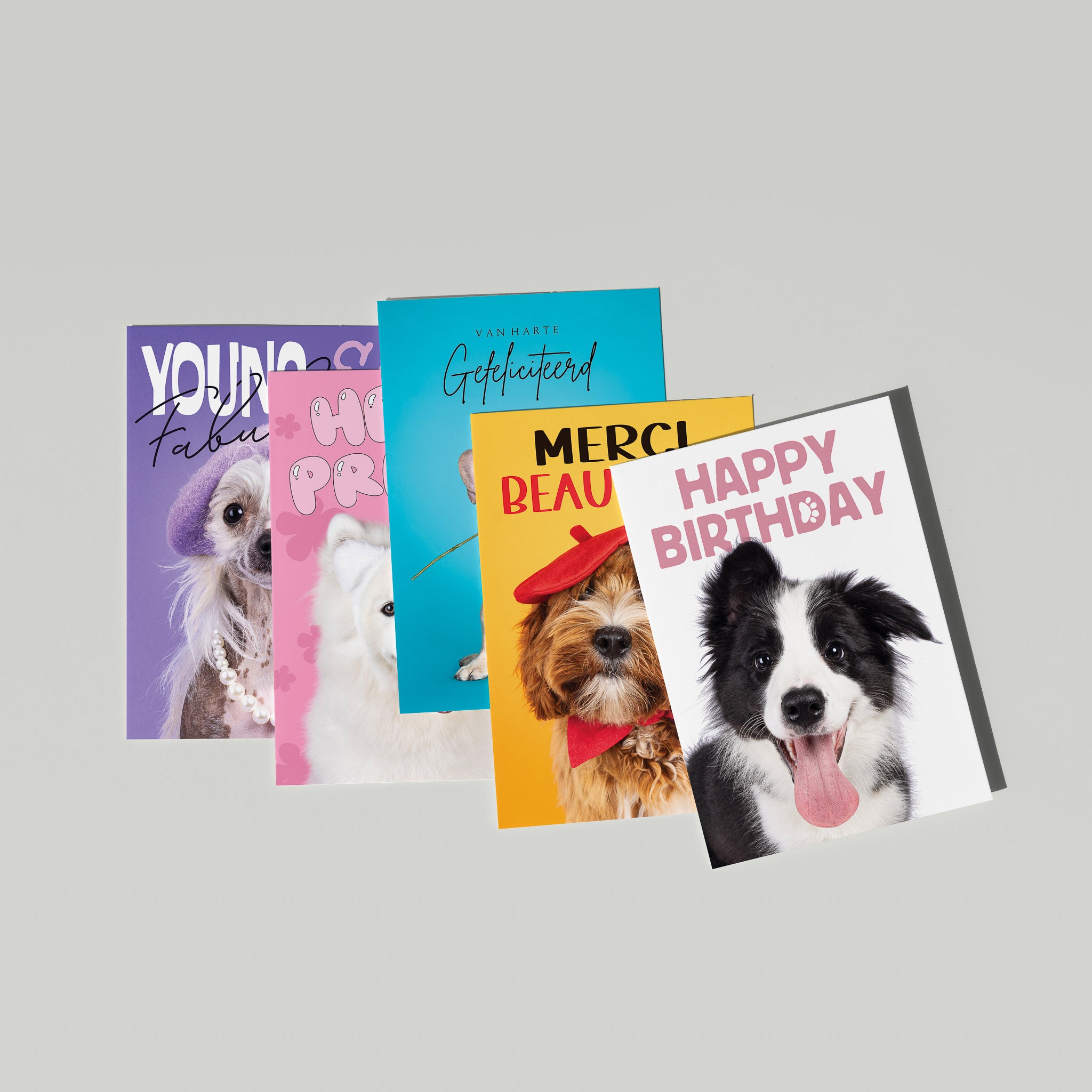 Set van 5 grote kaarten met honden