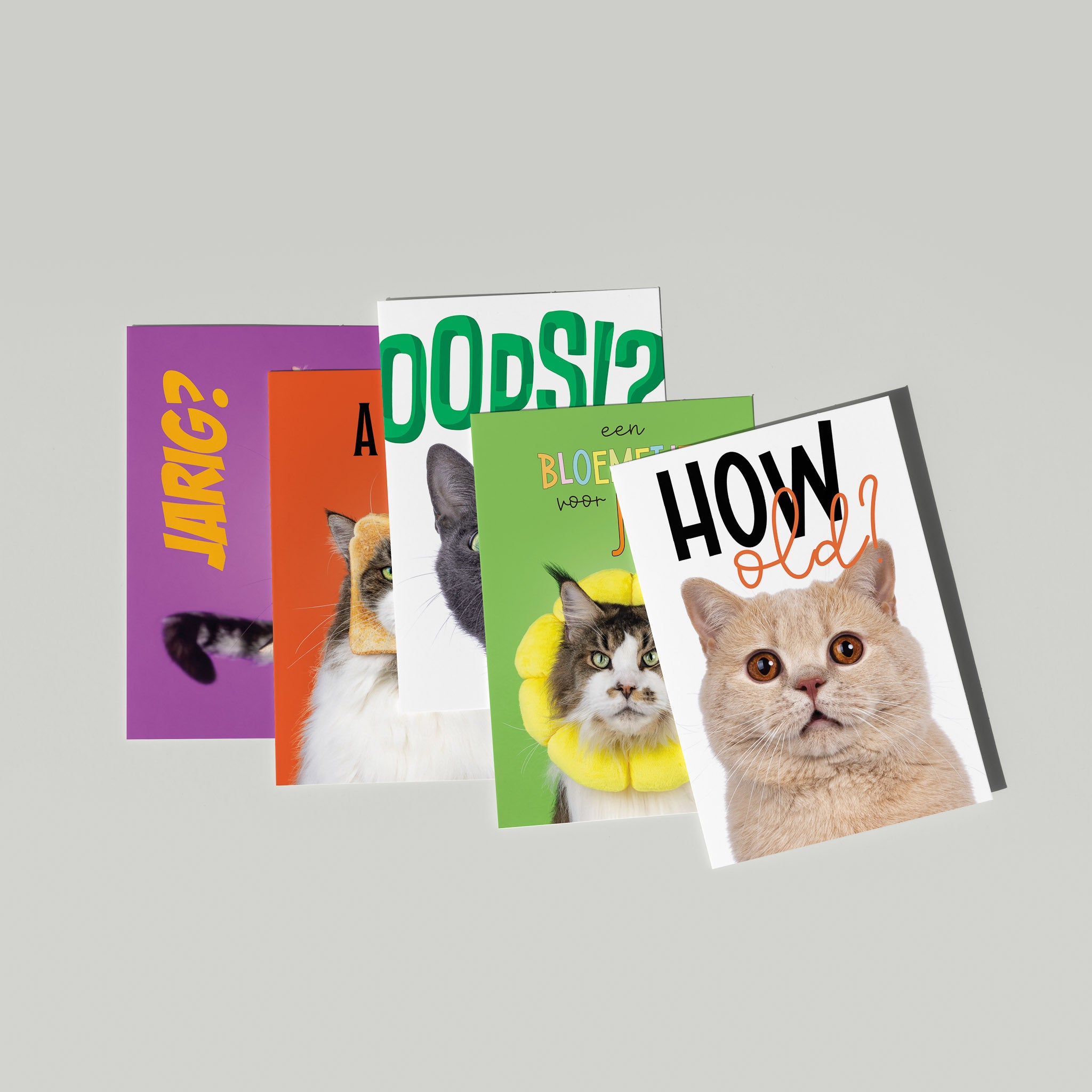 Set van 5 grote kaarten met katten