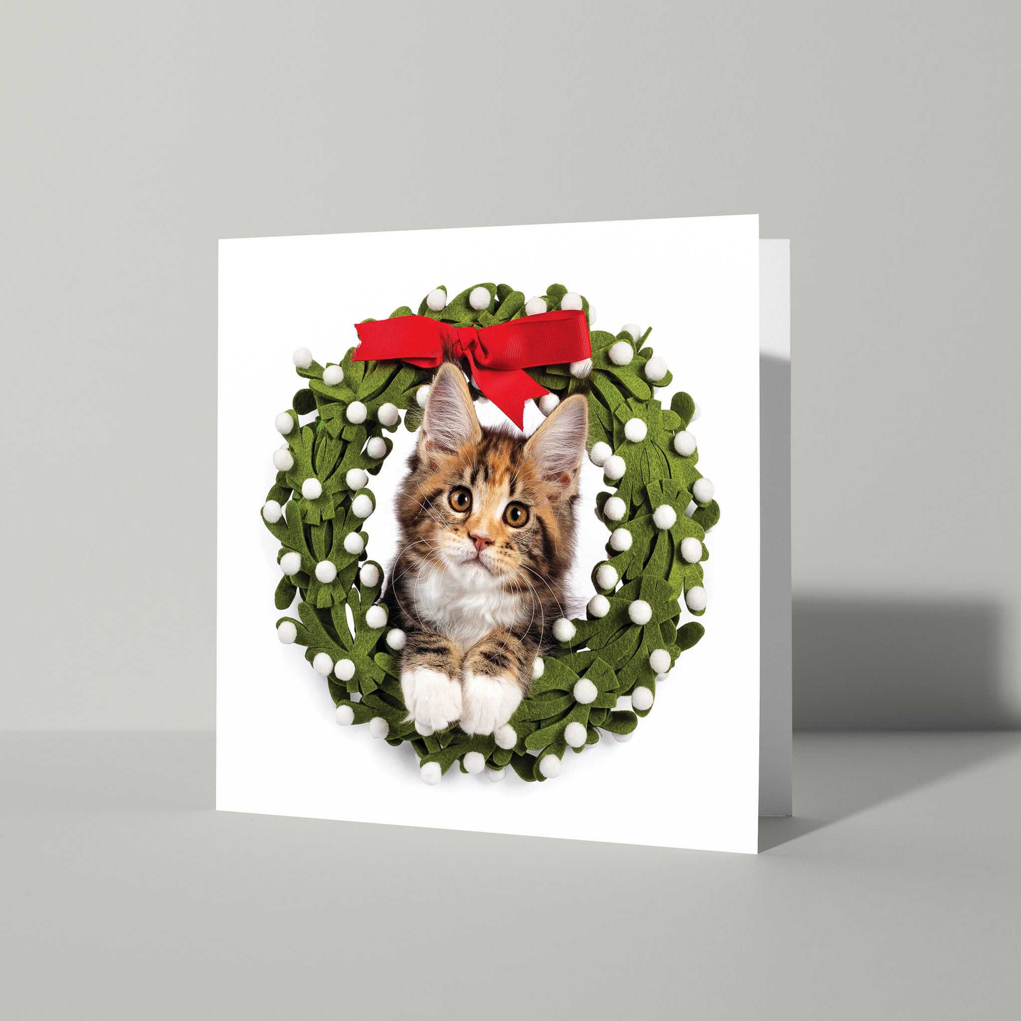 Katten kerstkaart met krans 