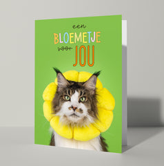 Grote 'bloemetje voor jou' kaart 