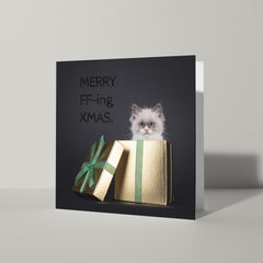 Stomme kerstkaart met sarcastische kat