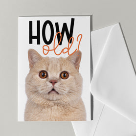 Verjaardagskaart met poes - Catchy Store