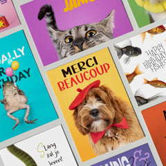 SET van 10 kaarten 19,95