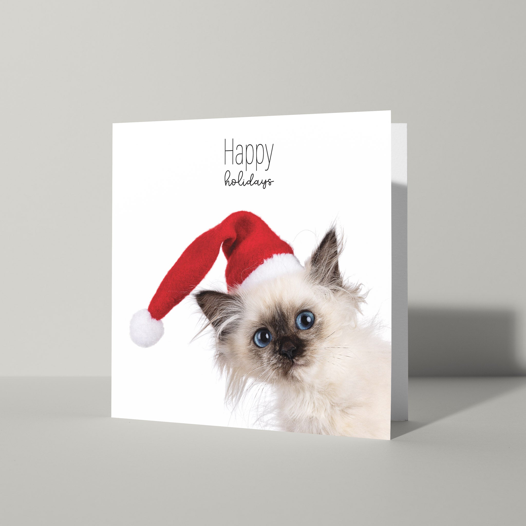 Happy Holiday kaart met kitten