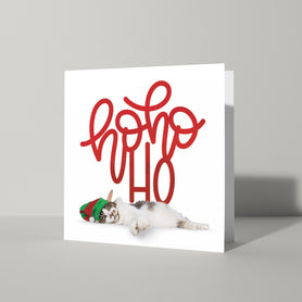 ‘Hohoho’ kerstkaart met kat