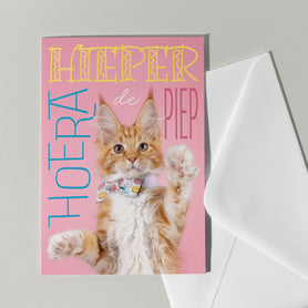 Verjaardagskaart met poes - Catchy Store