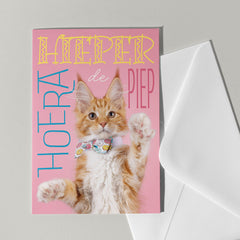 Verjaardagskaart met poes - Catchy Store
