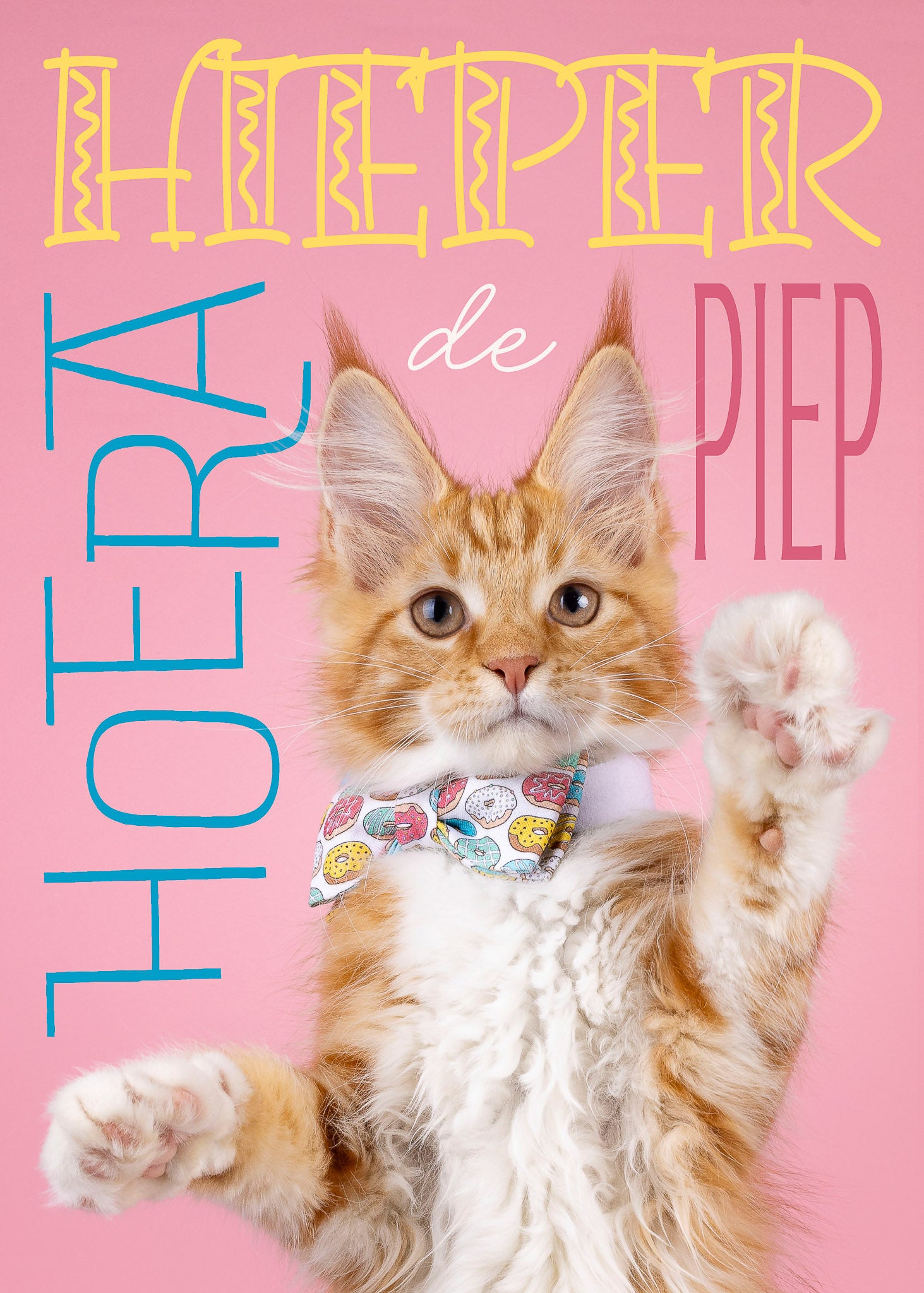 Verjaardagskaart met poes - Catchy Store