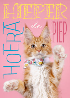 Verjaardagskaart met poes - Catchy Store