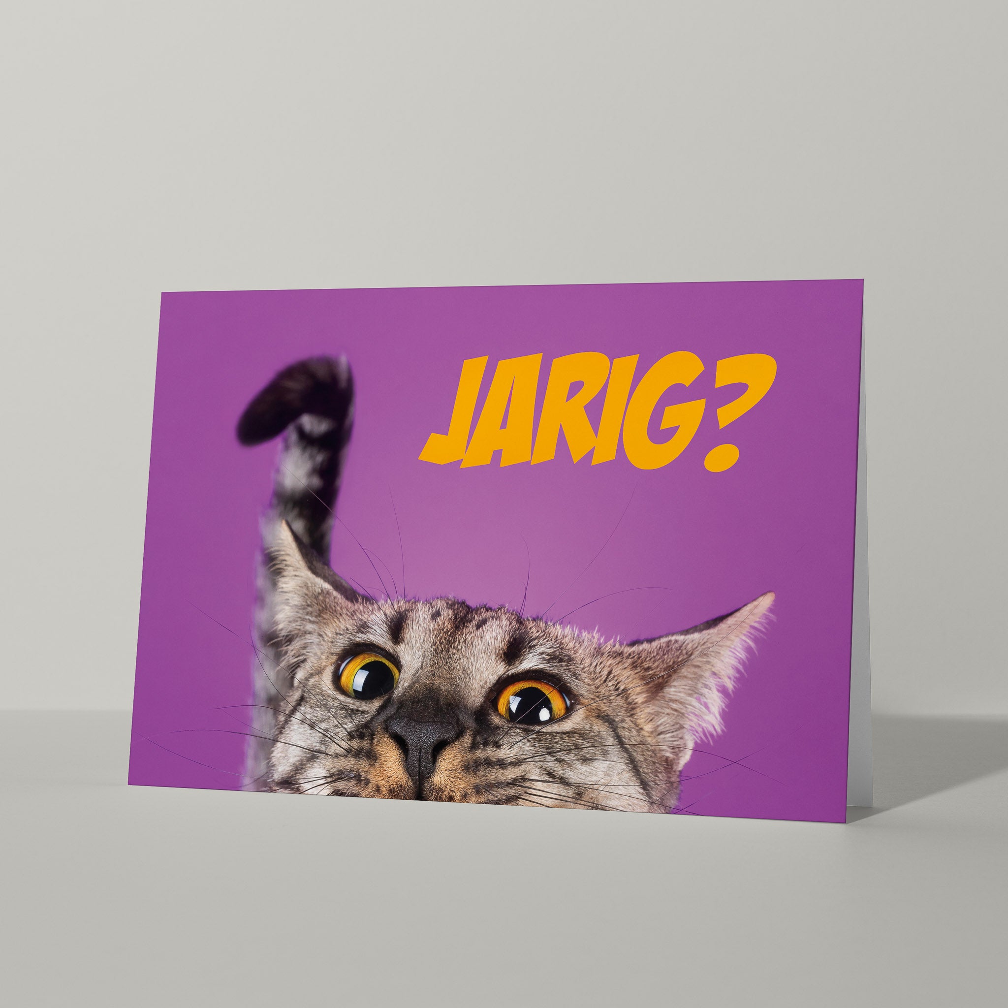 Vrolijke verjaardagskaart met kat 