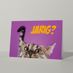 Set wenskaarten (10 stuks)