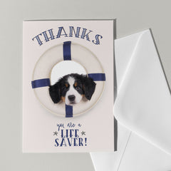 Bedank kaart hond - Cat'chy Store