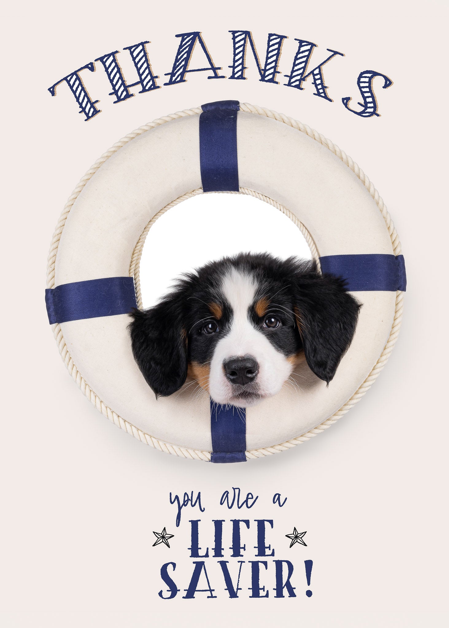 Bedank kaart hond - Cat'chy Store