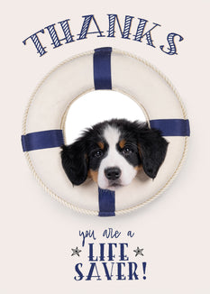 Bedank kaart hond - Cat'chy Store