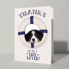 Bedank kaart hond - Cat'chy Store