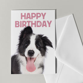Happy Birthday kaart met Hond - Catchy Store

