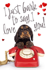 Valentijn kaart hond