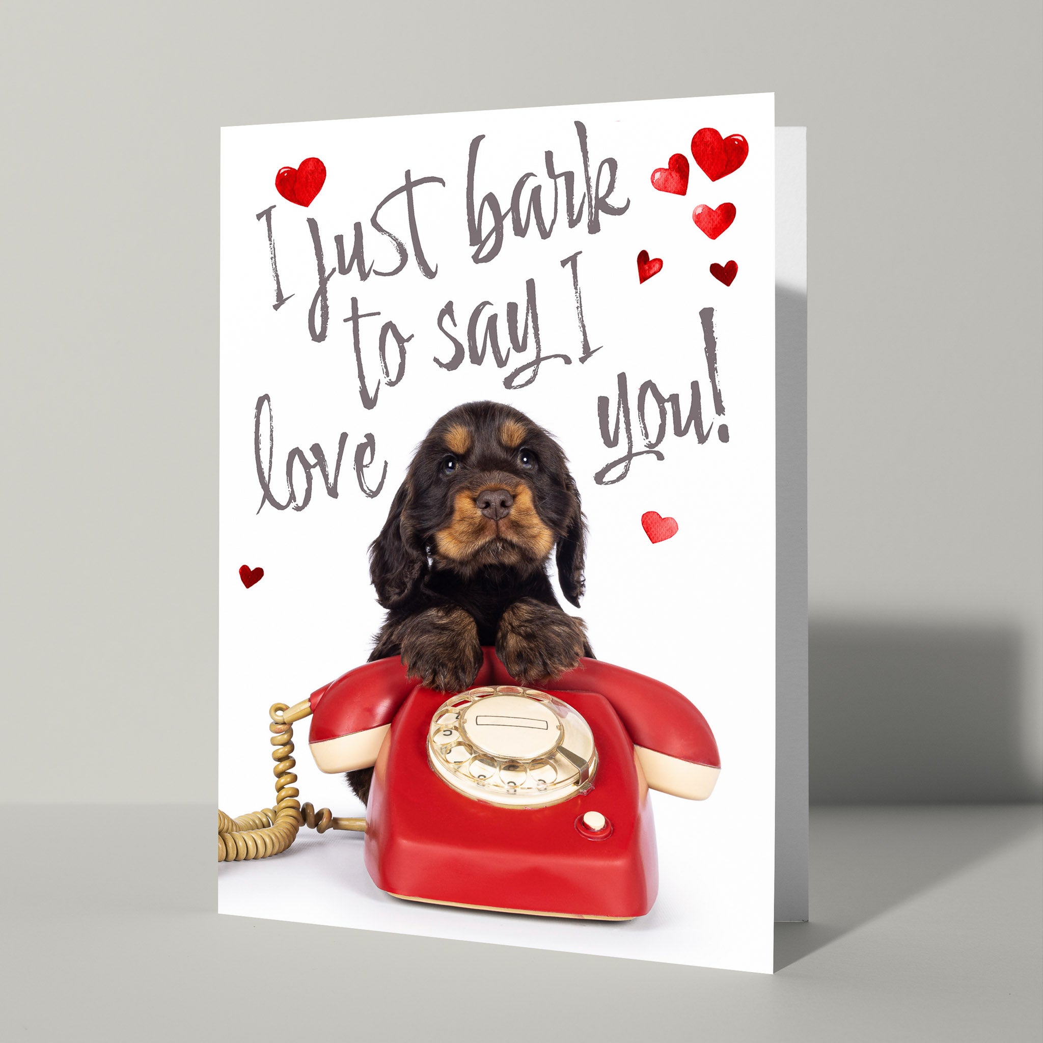 Valentijn kaart hond