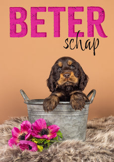 Beterschapskaartje met puppy - Catchy Store