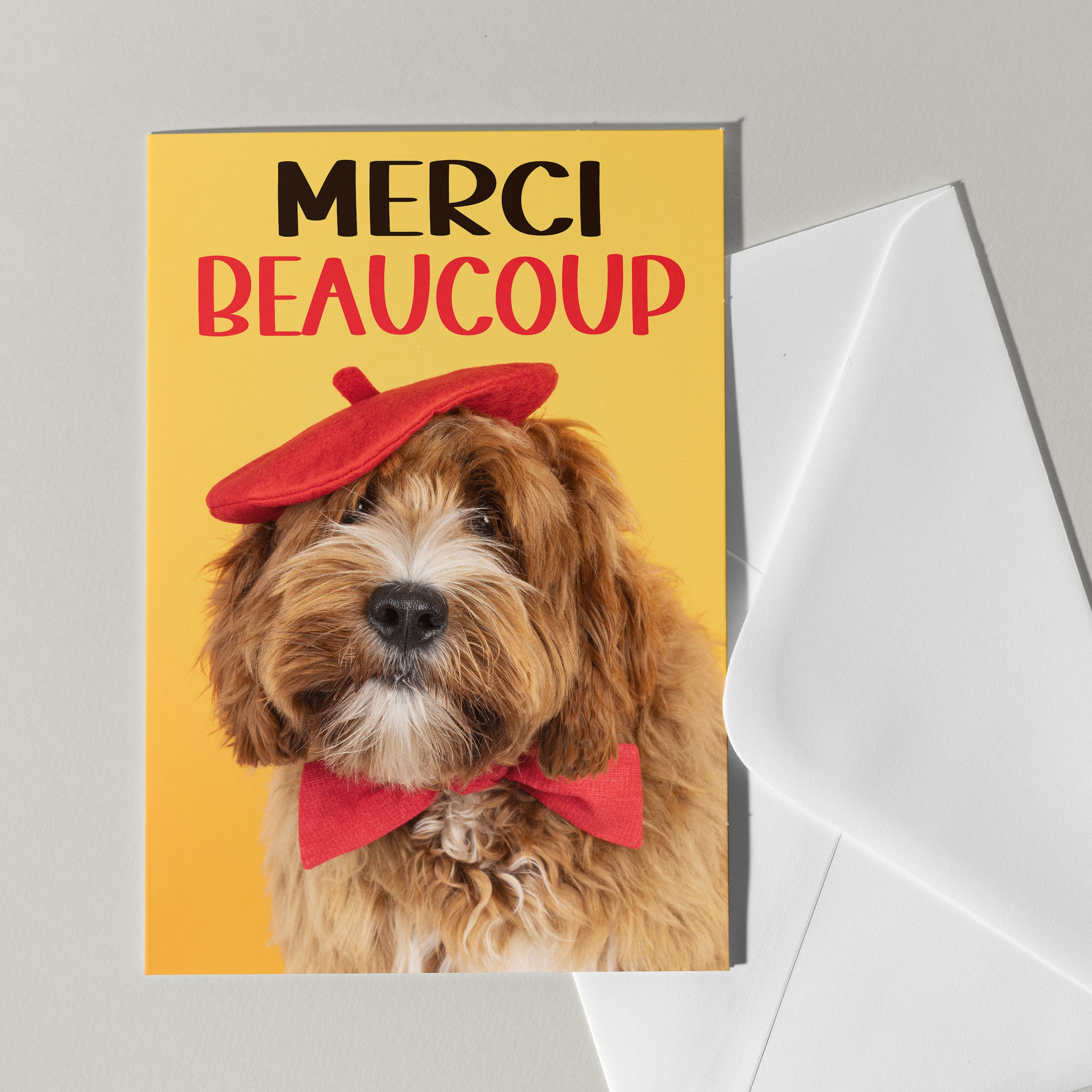 wenskaart hond bedankt