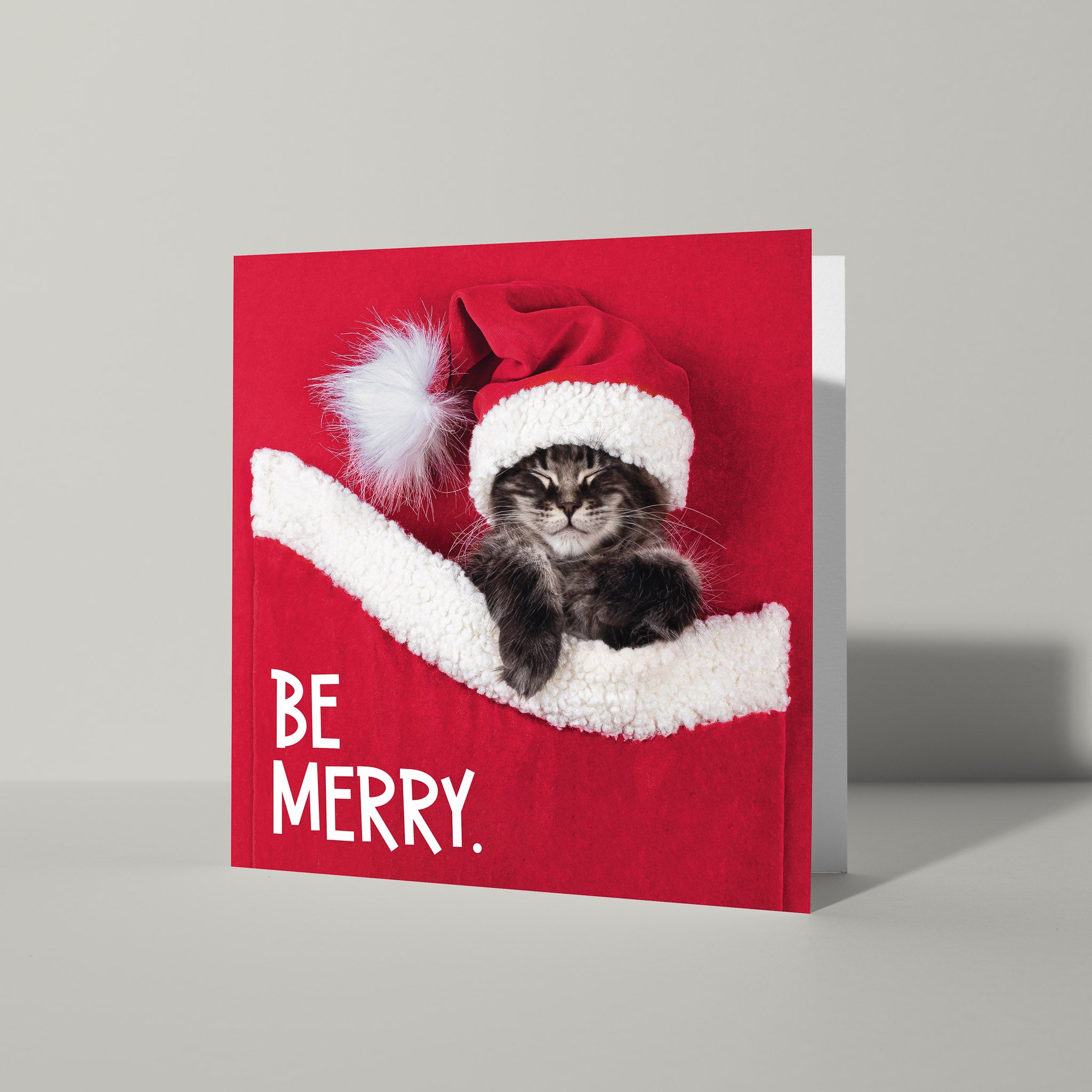 ‘Be Merry’ poezen kerstkaart 