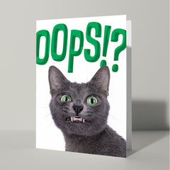 Sorry kaart met kat