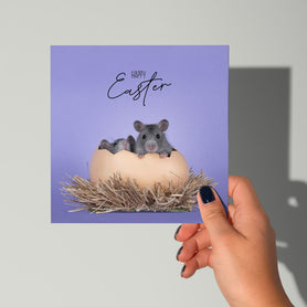 Kaartje Pasen met ratjes - Catchy Store