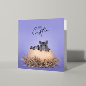 Kaartje Pasen met ratjes - Catchy Store