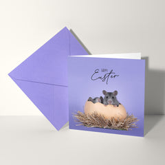 Kaartje Pasen met ratjes - Catchy Store