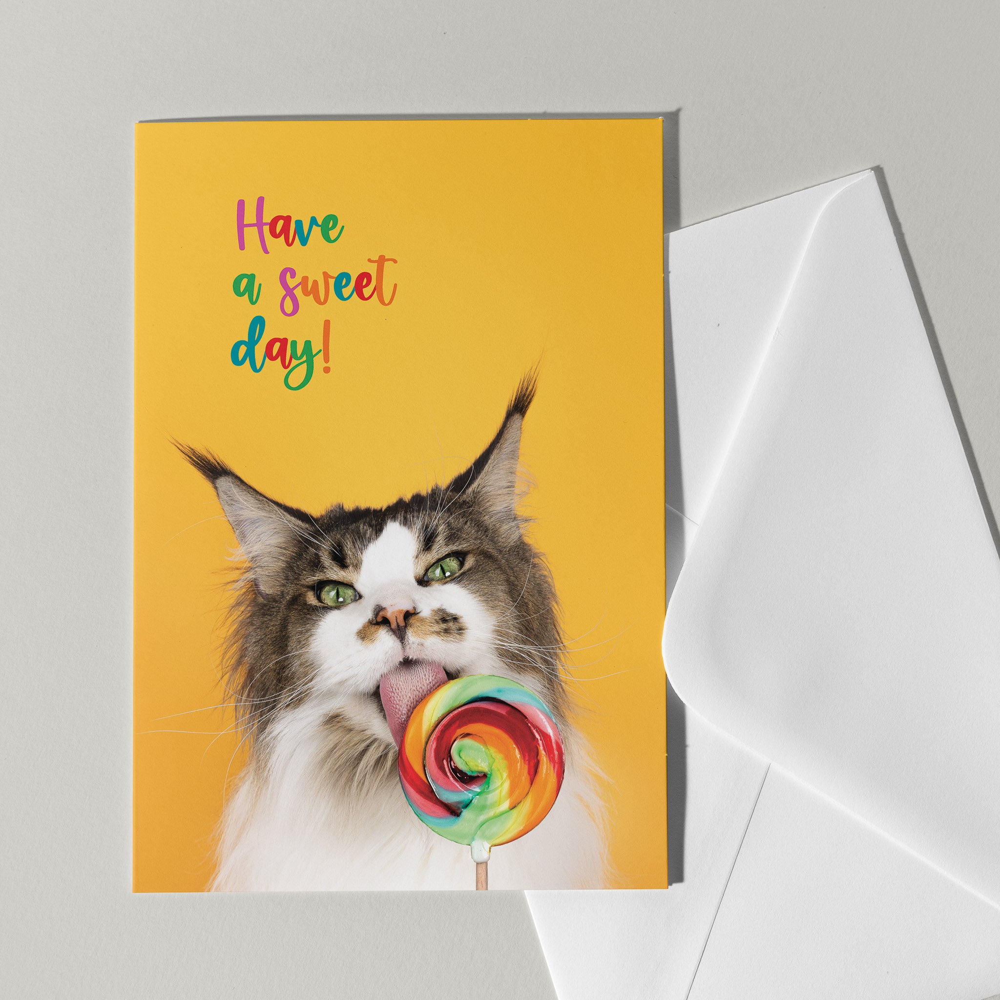 Kattenkaart Have a sweet day - Catchy Store

