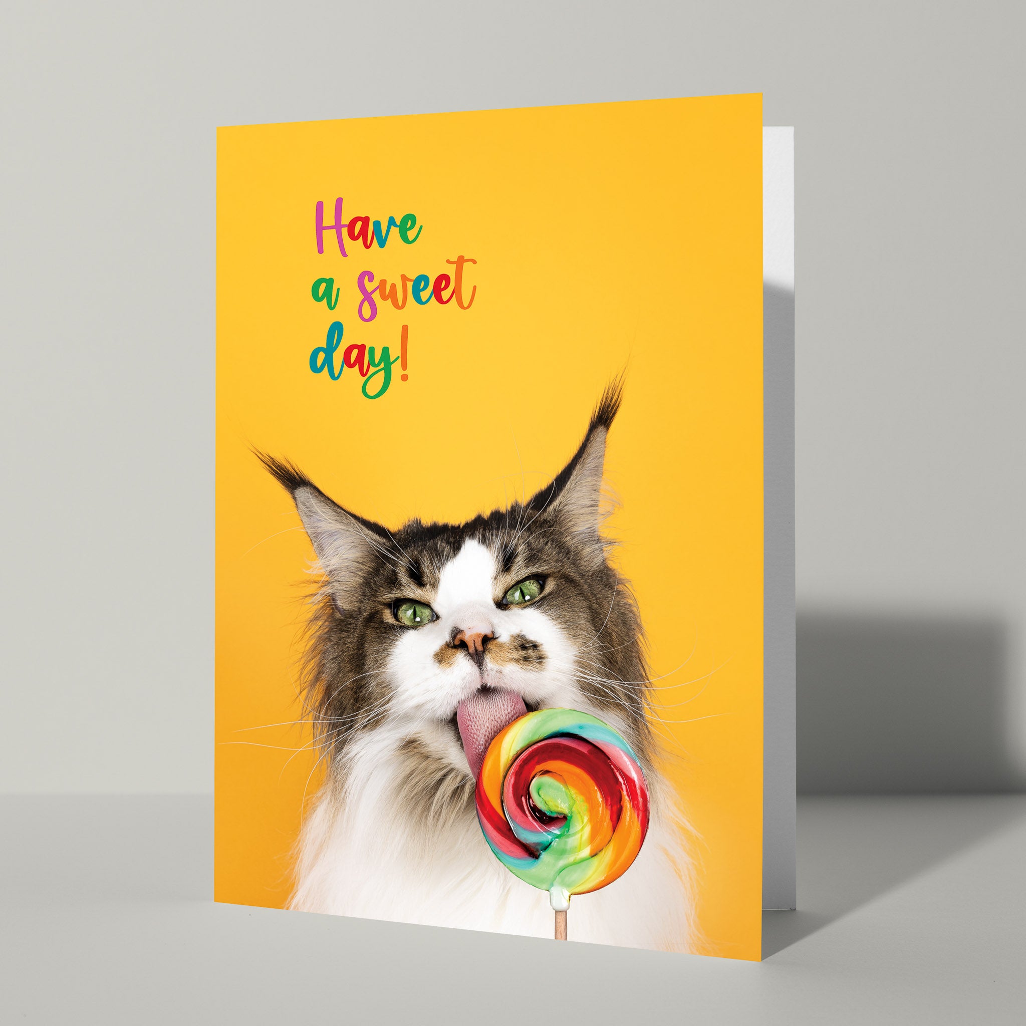 Kattenkaart Have a sweet day - Catchy Store
