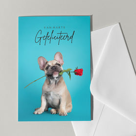  felicitatiekaart met hond en roos 